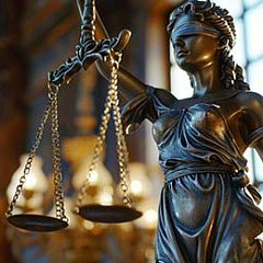 Активно содействовал или признал вину?